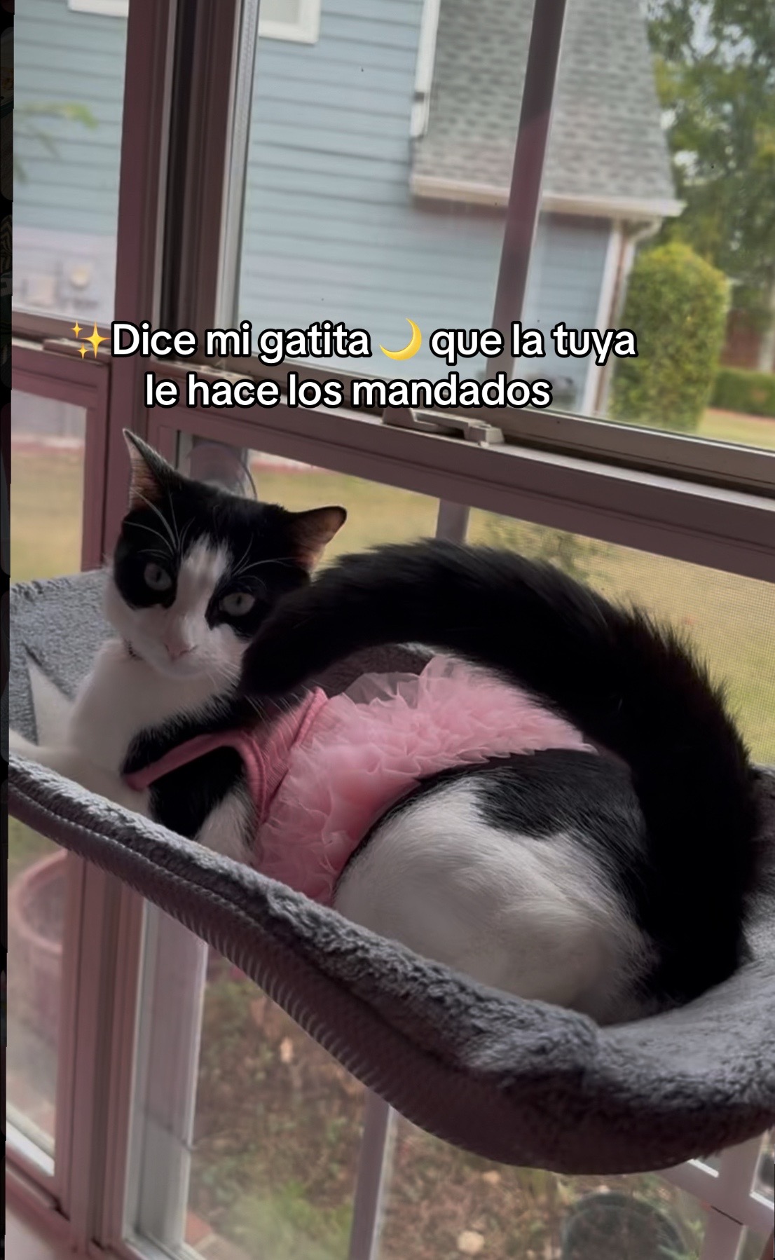 @Luna🌙 y Sol☀️
