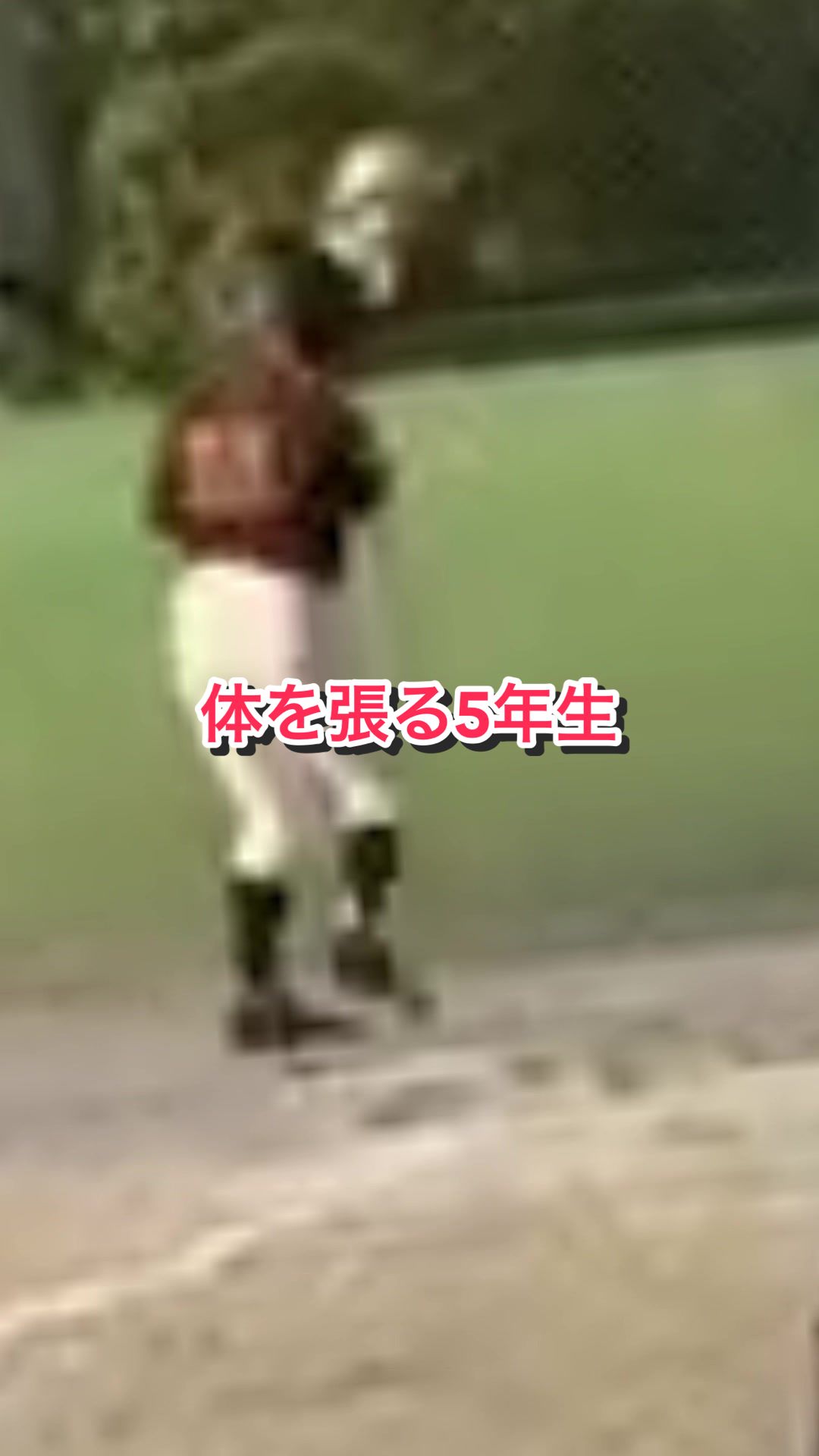 @赤井少年野球クラブ理事/川口シニアを応援する父/川口市
