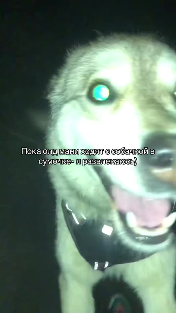 @#вайс