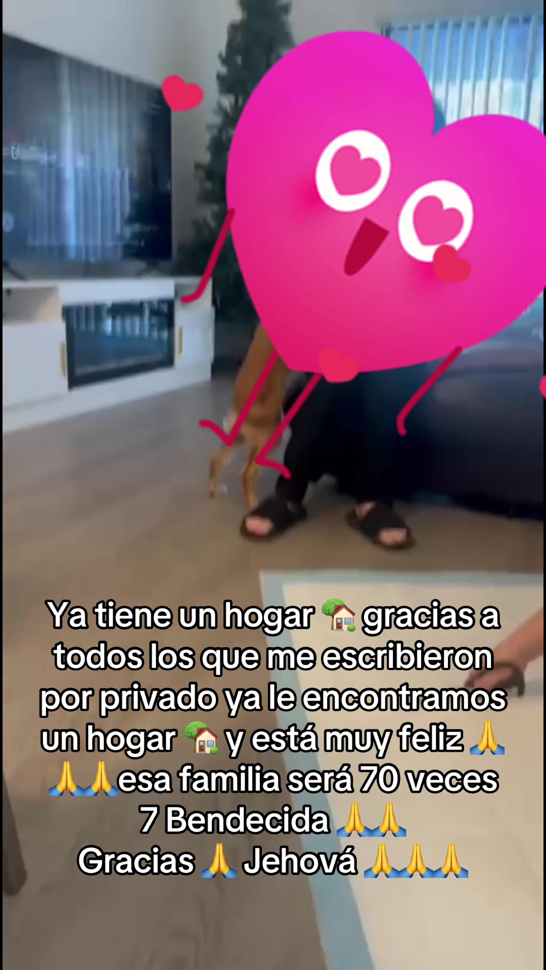 @yayi