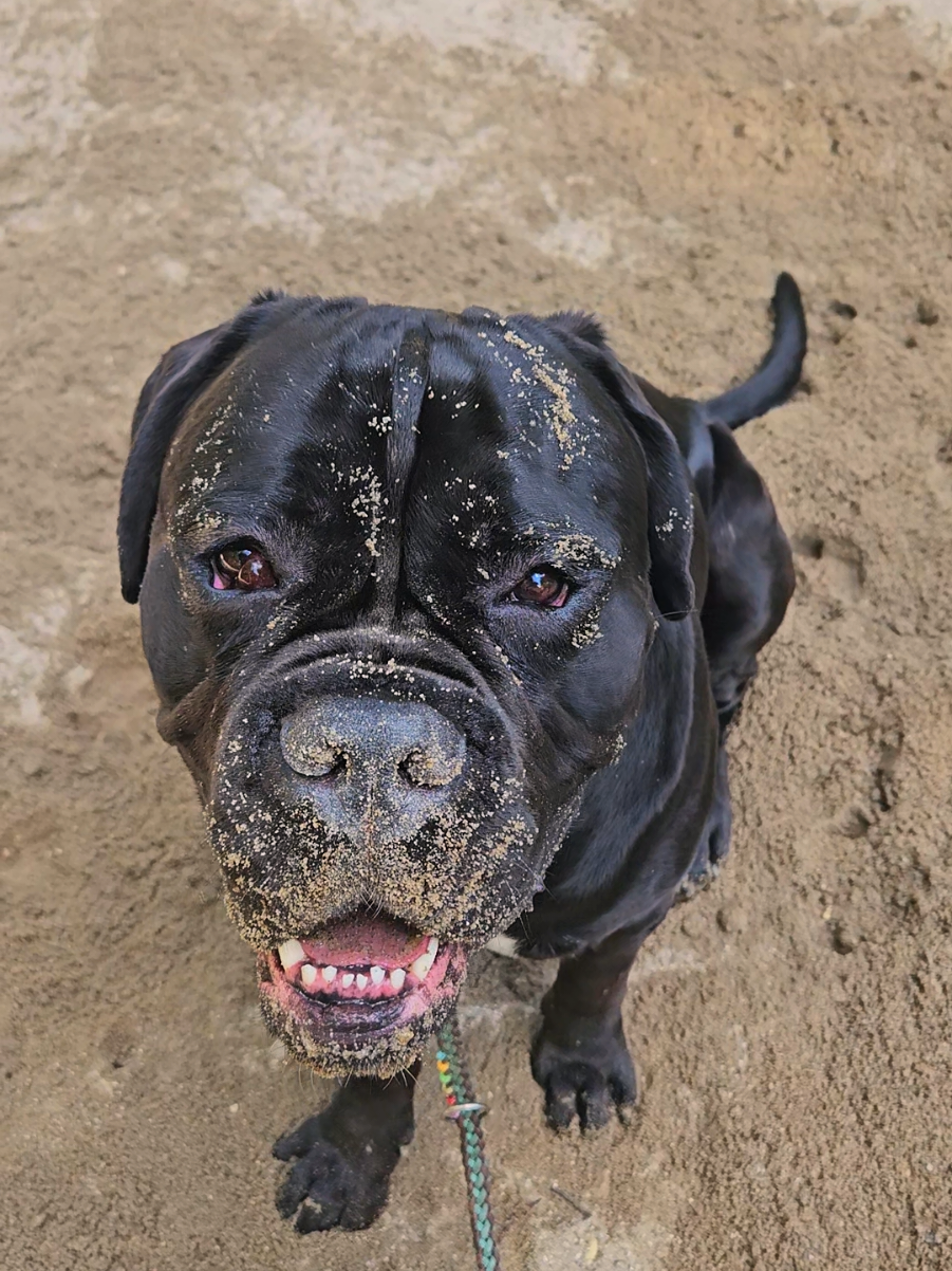 @Ludwig & Mich&egrave;le