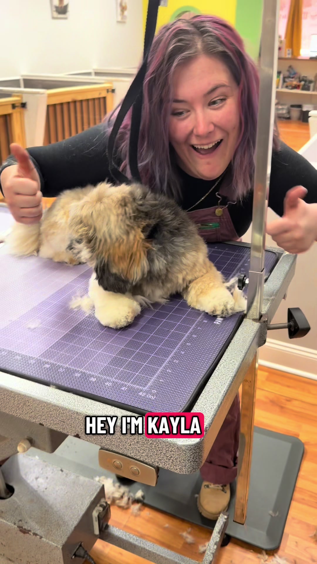 @neurospicywitchygroomer