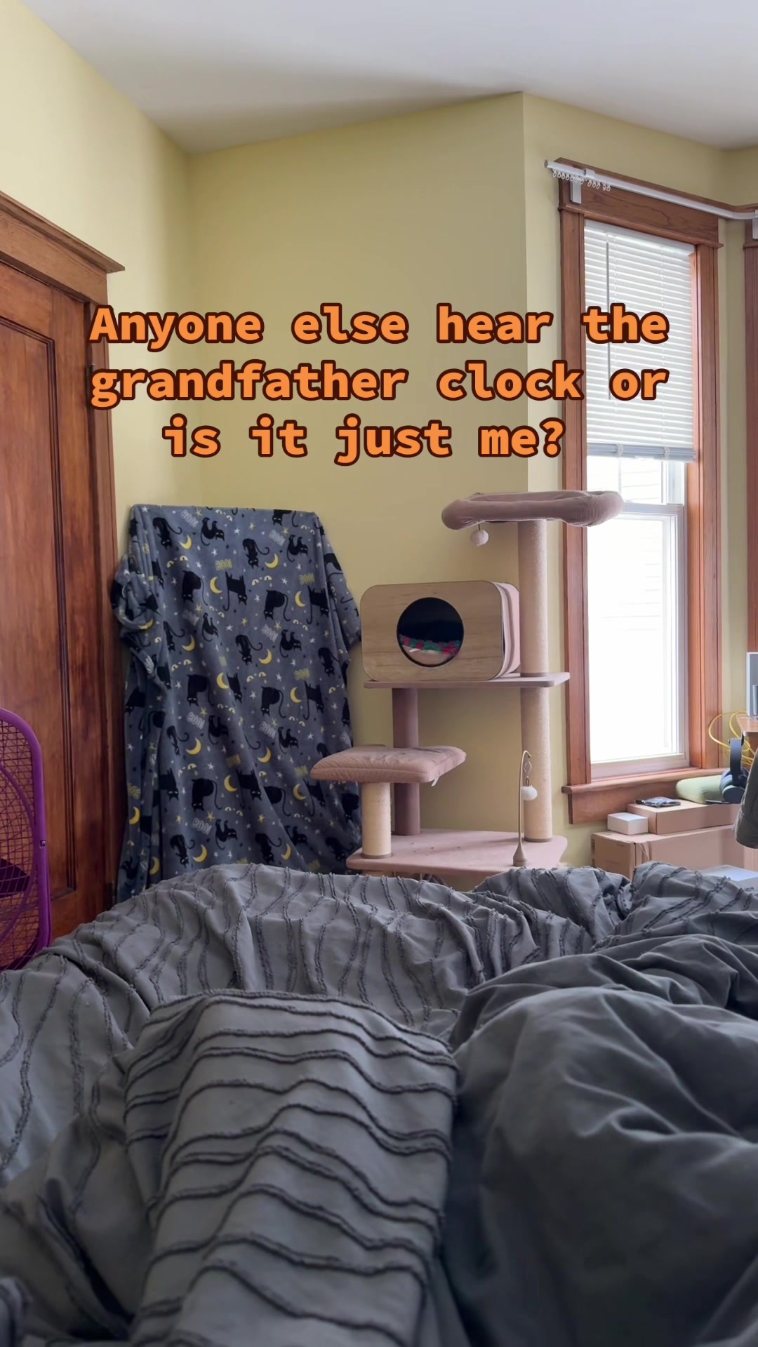 @Richard kwil