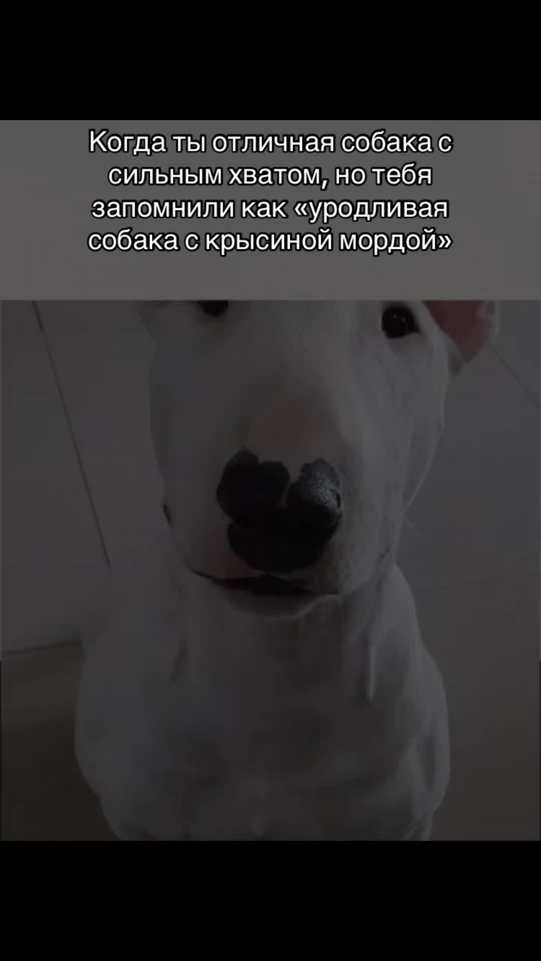 @#вайс