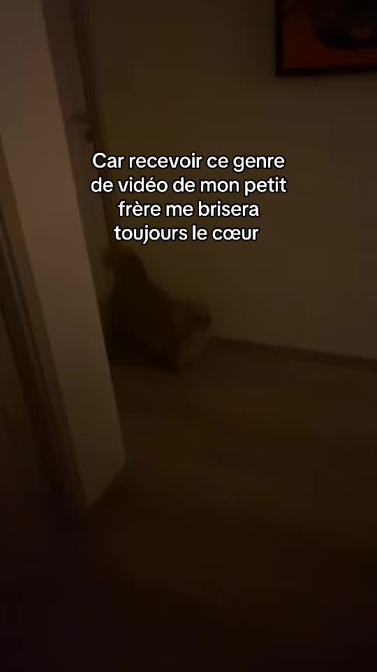 @Ava