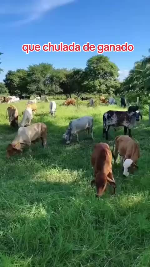 @NATURALEZARANCHO