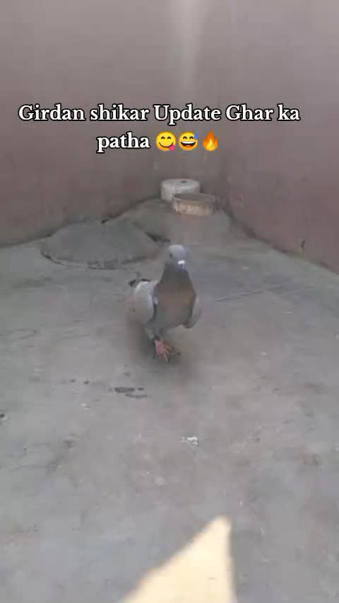 @🕊Badsha🕊