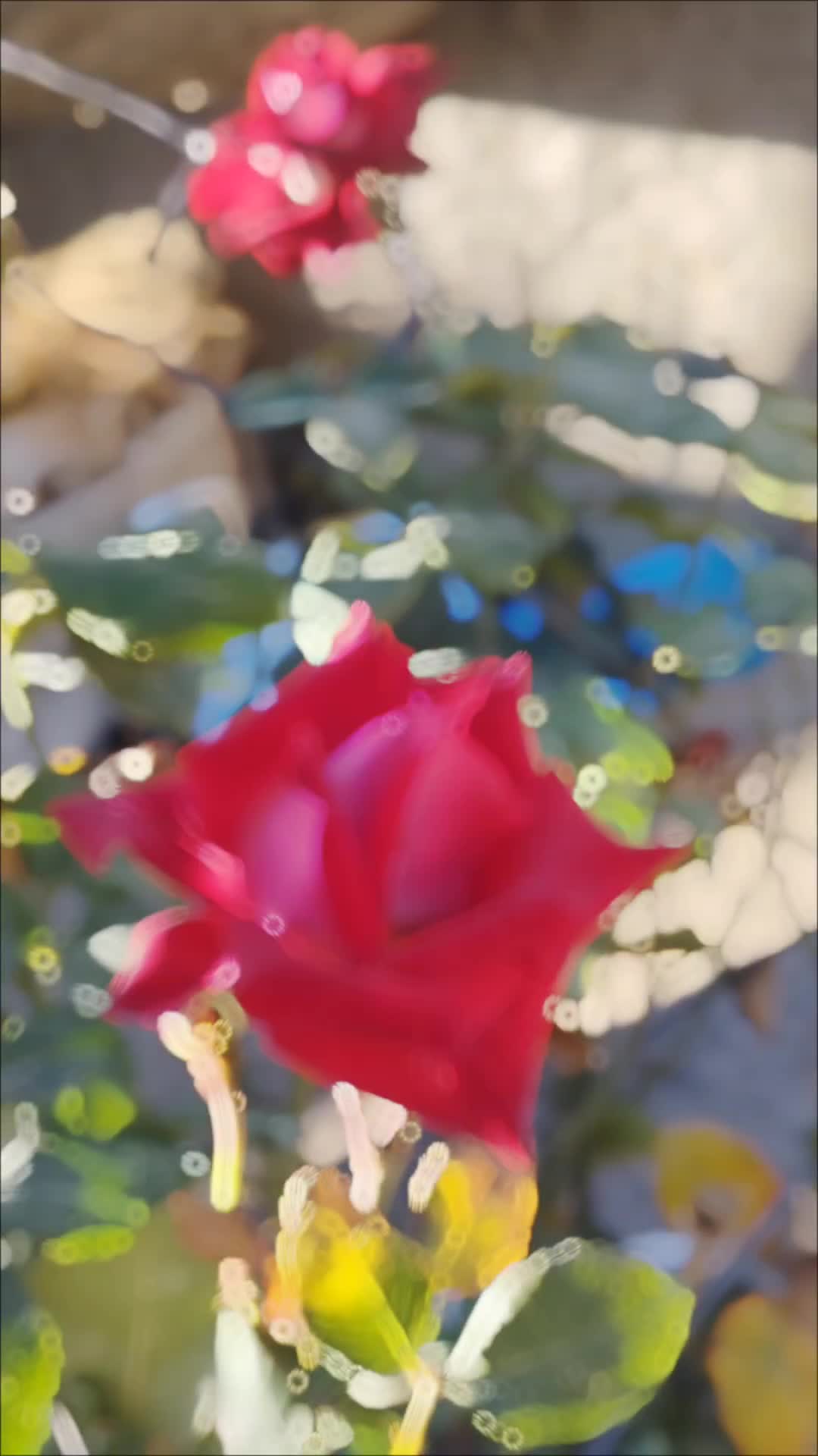 @Reyhan &ccedil;aKır🥀