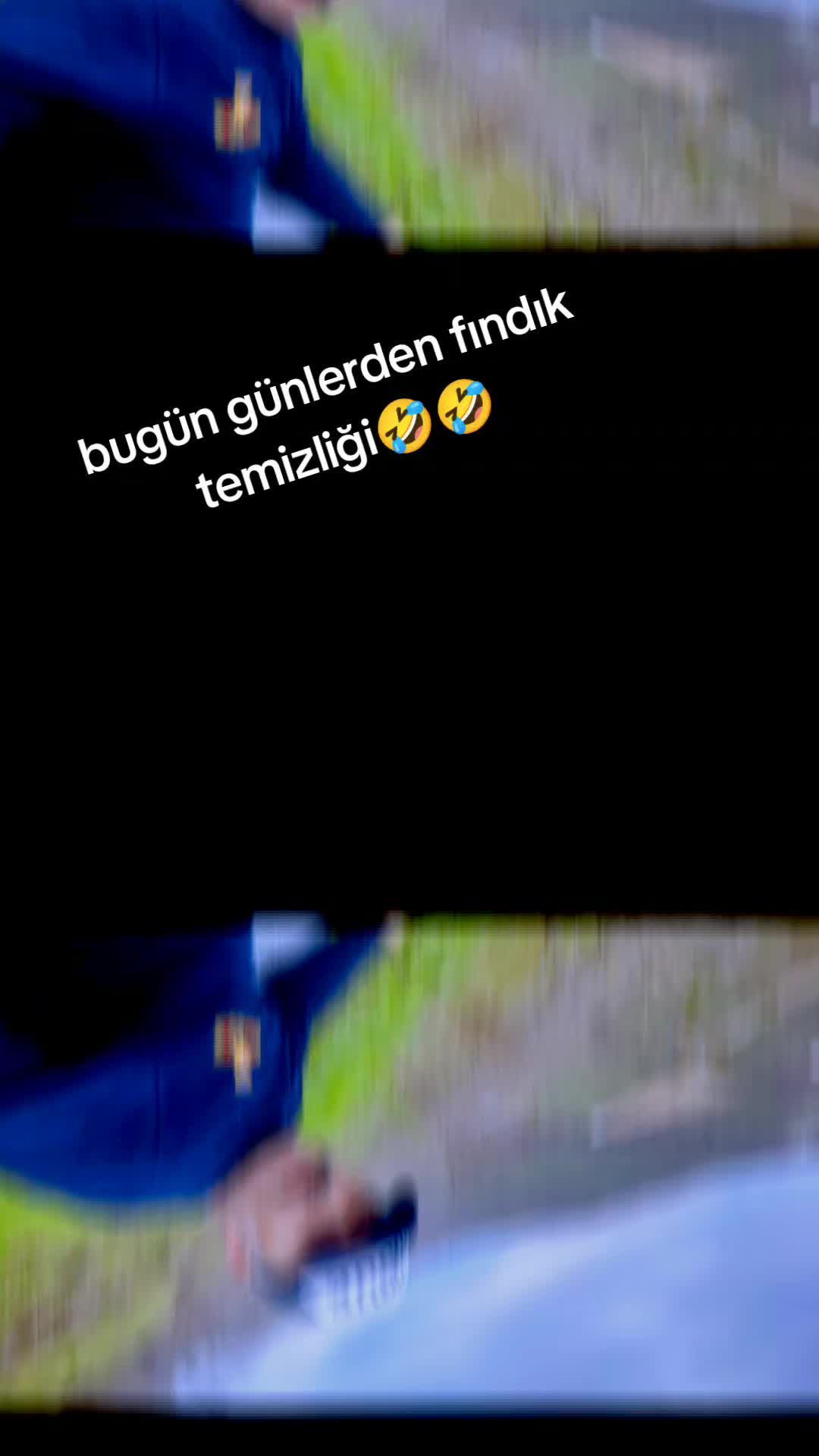 @yaşlı kurt
