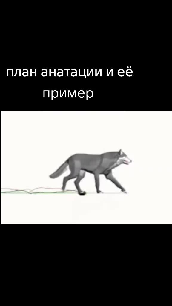 @якась муха