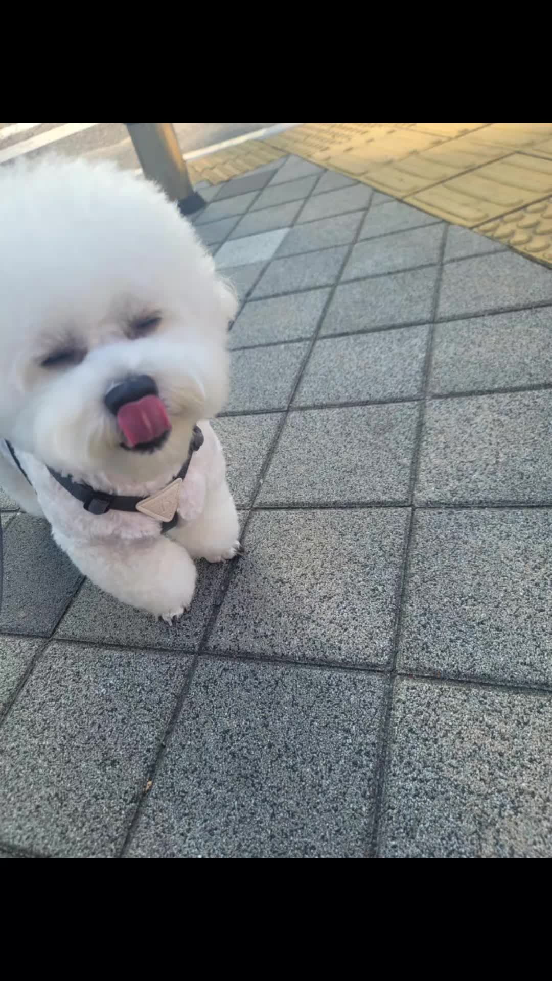 @식빵