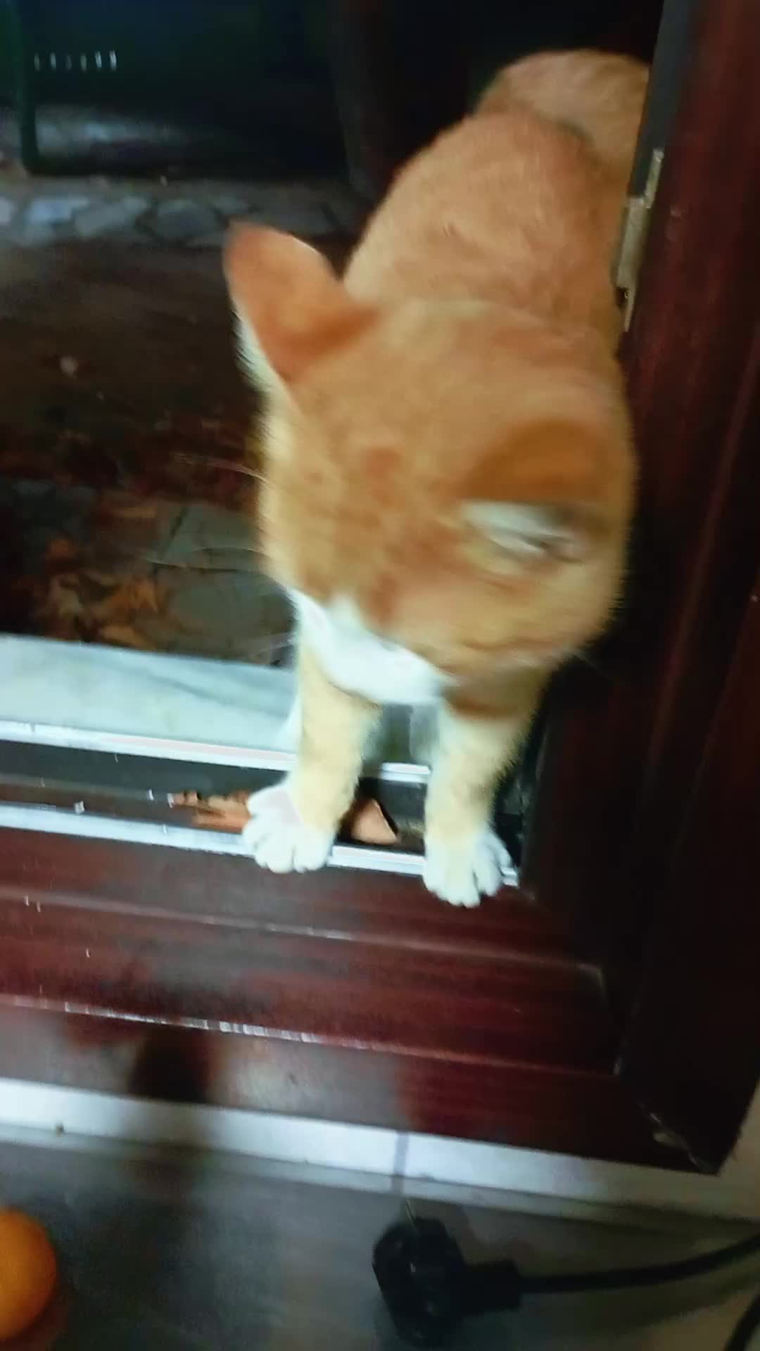 @&ccedil;amur