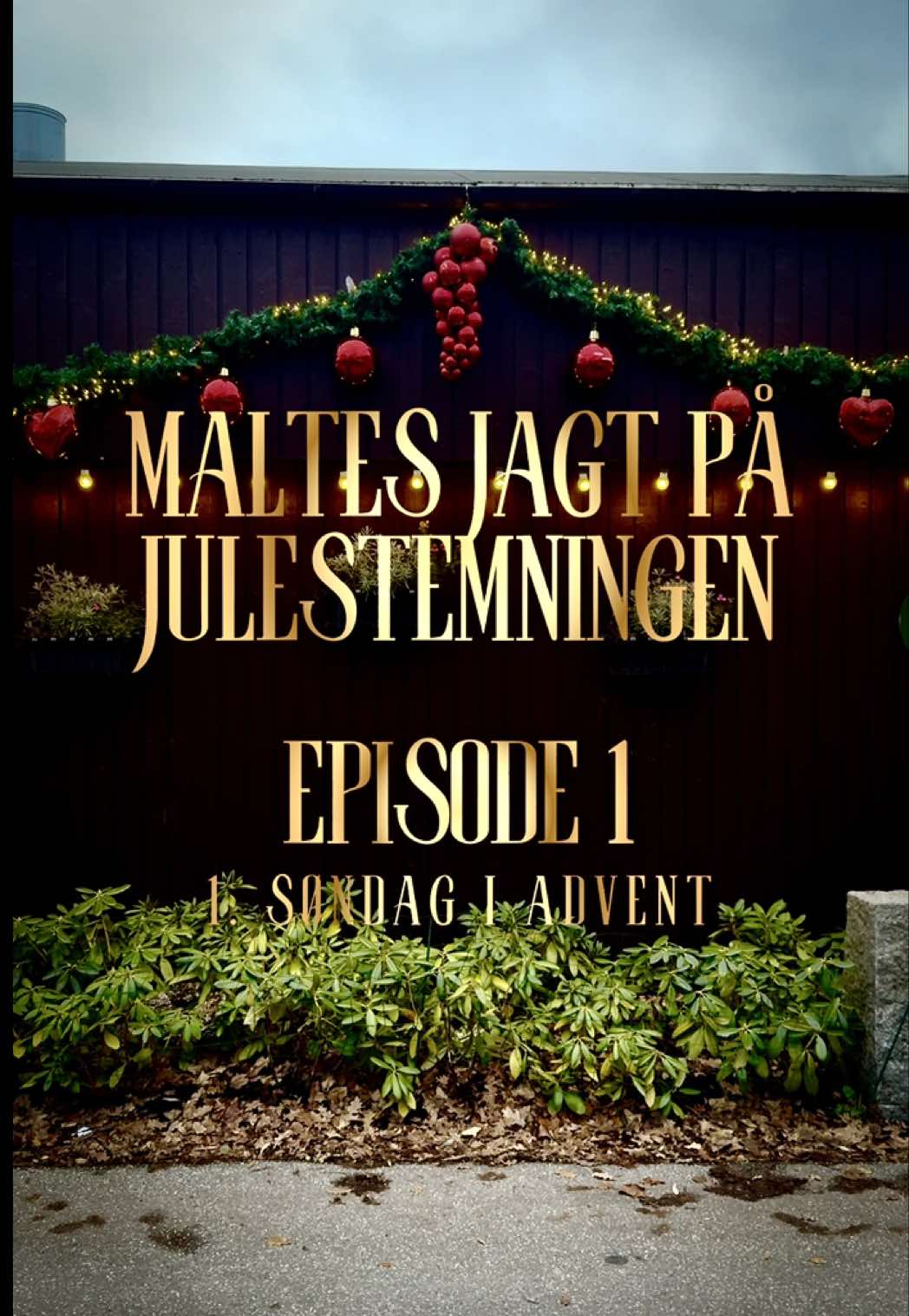 @MalteEbert