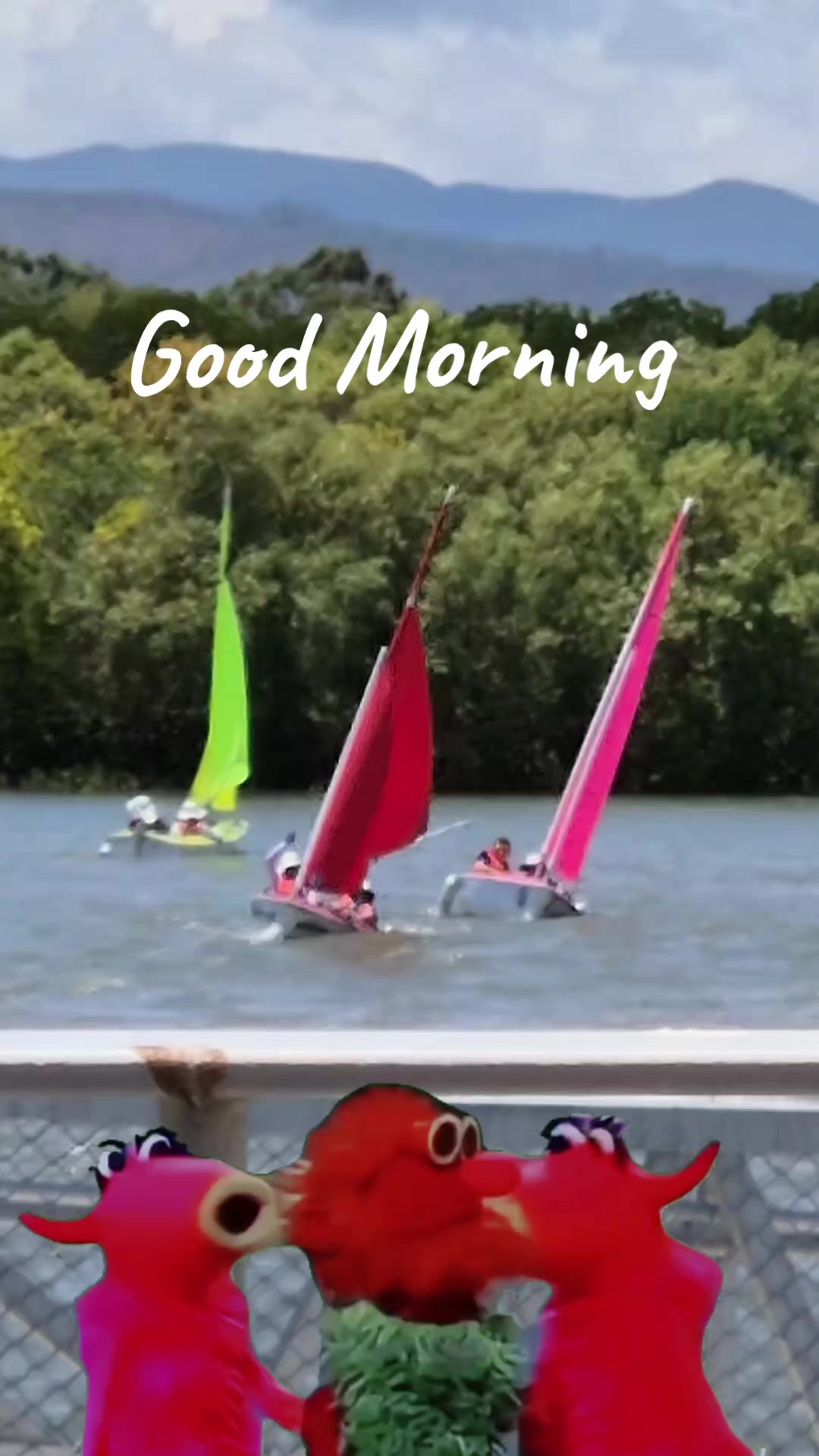 @SailabilityTownsville
