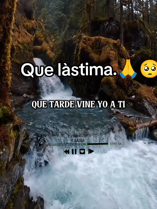 @Herminia Gonz&aacute;lez.