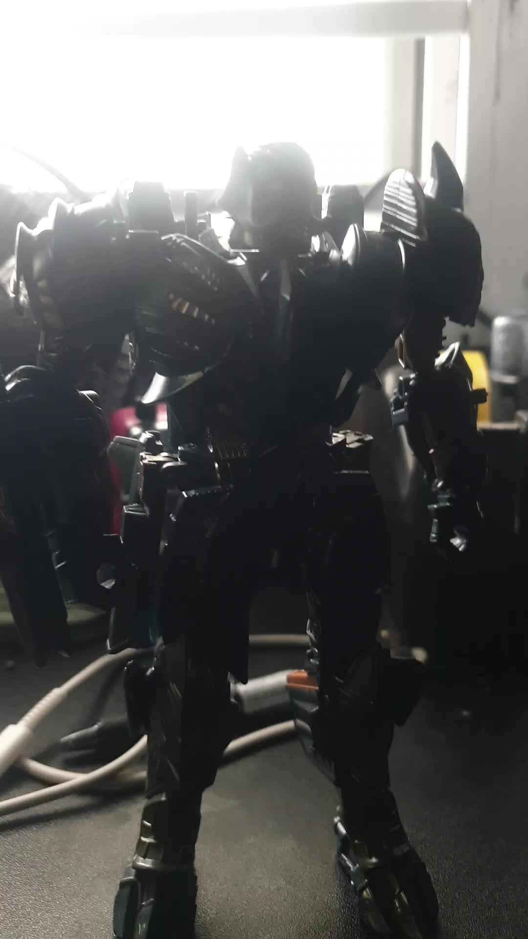 @M.L.A.R