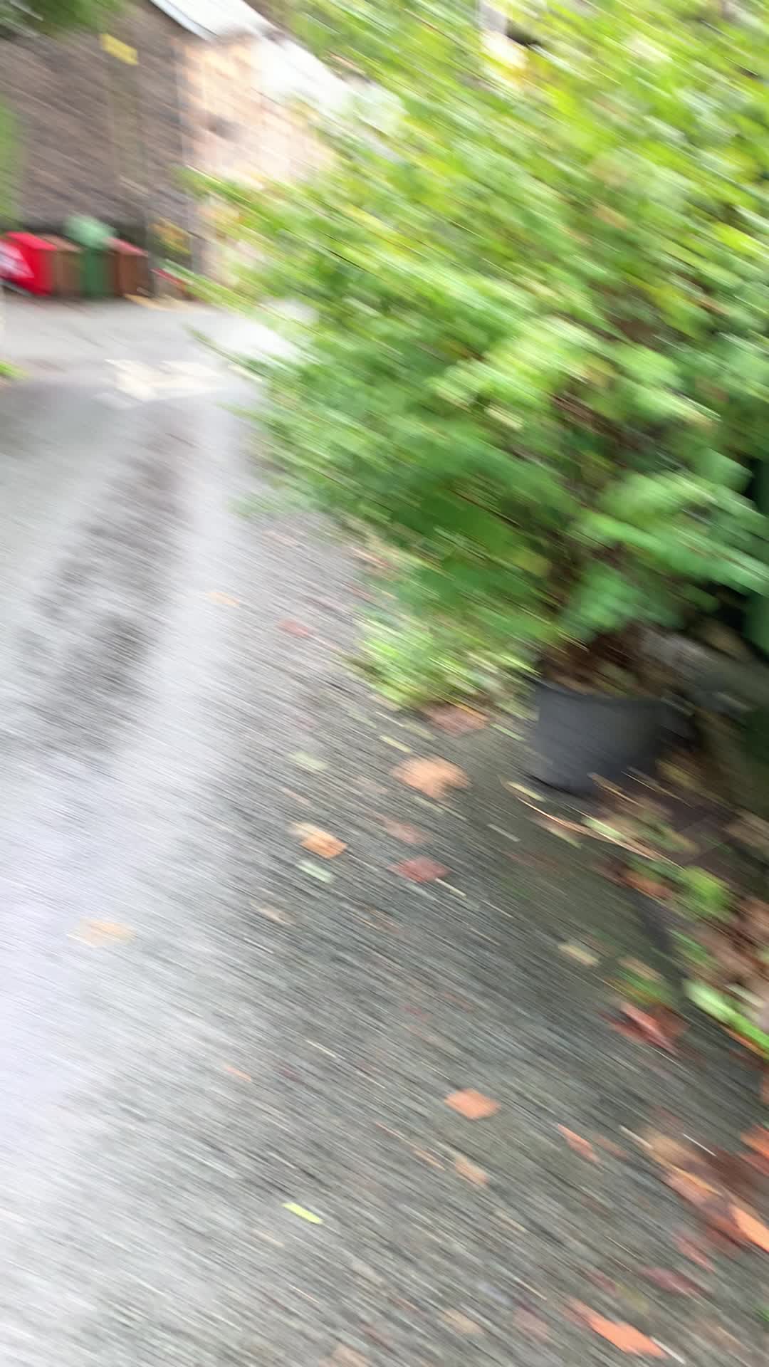 @s1ng0