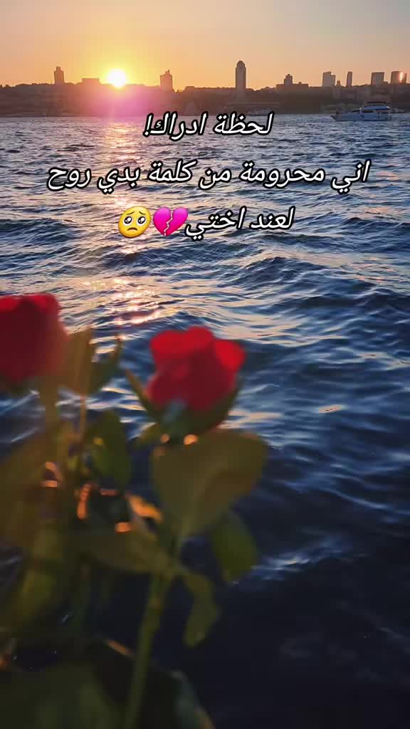 @bnt Syrian