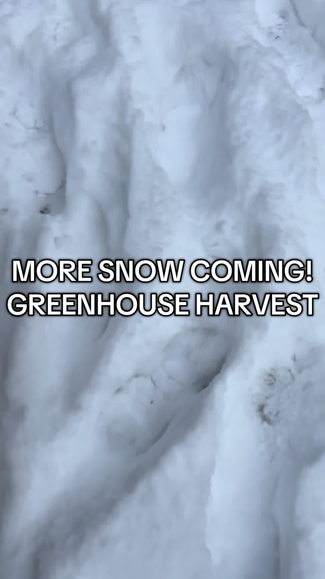@Willow Hill Farm