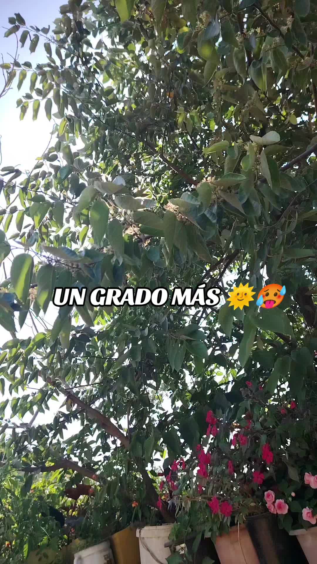 @Yuly Maldonado🍀&hearts;️