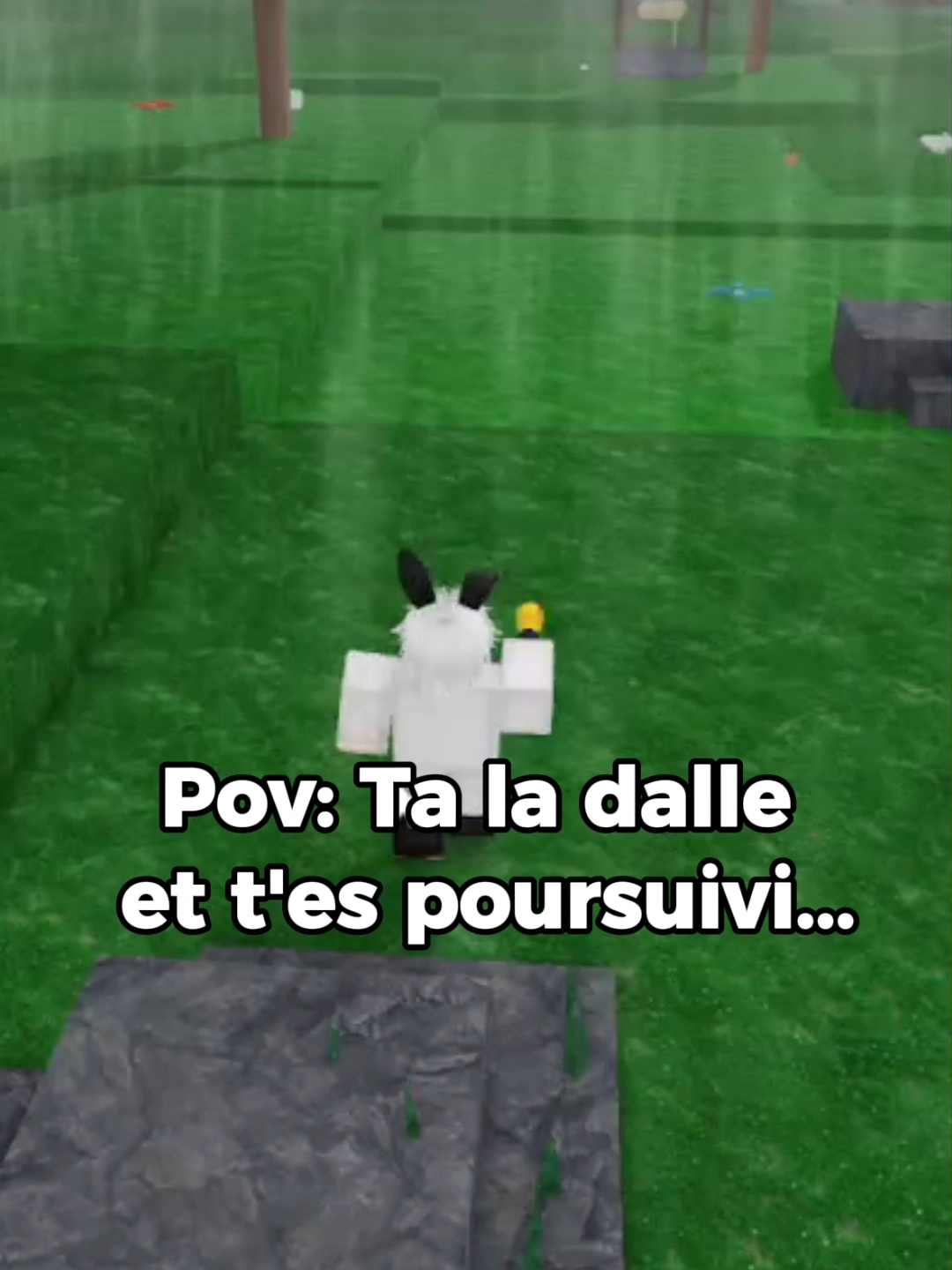 @RaphRex