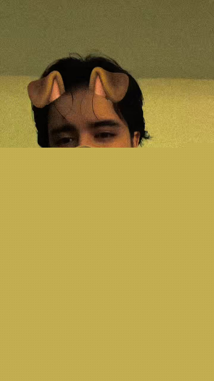 @Kaito.