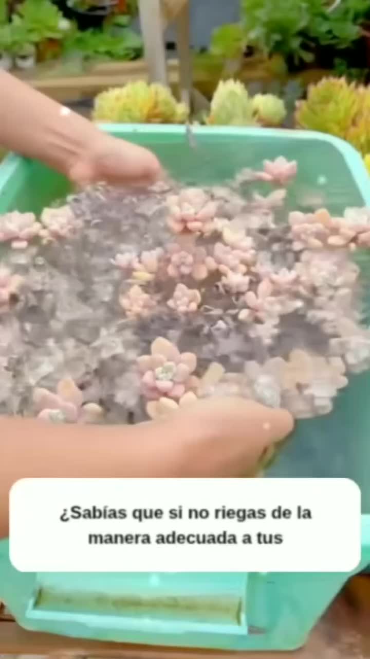 @MIJARDIN