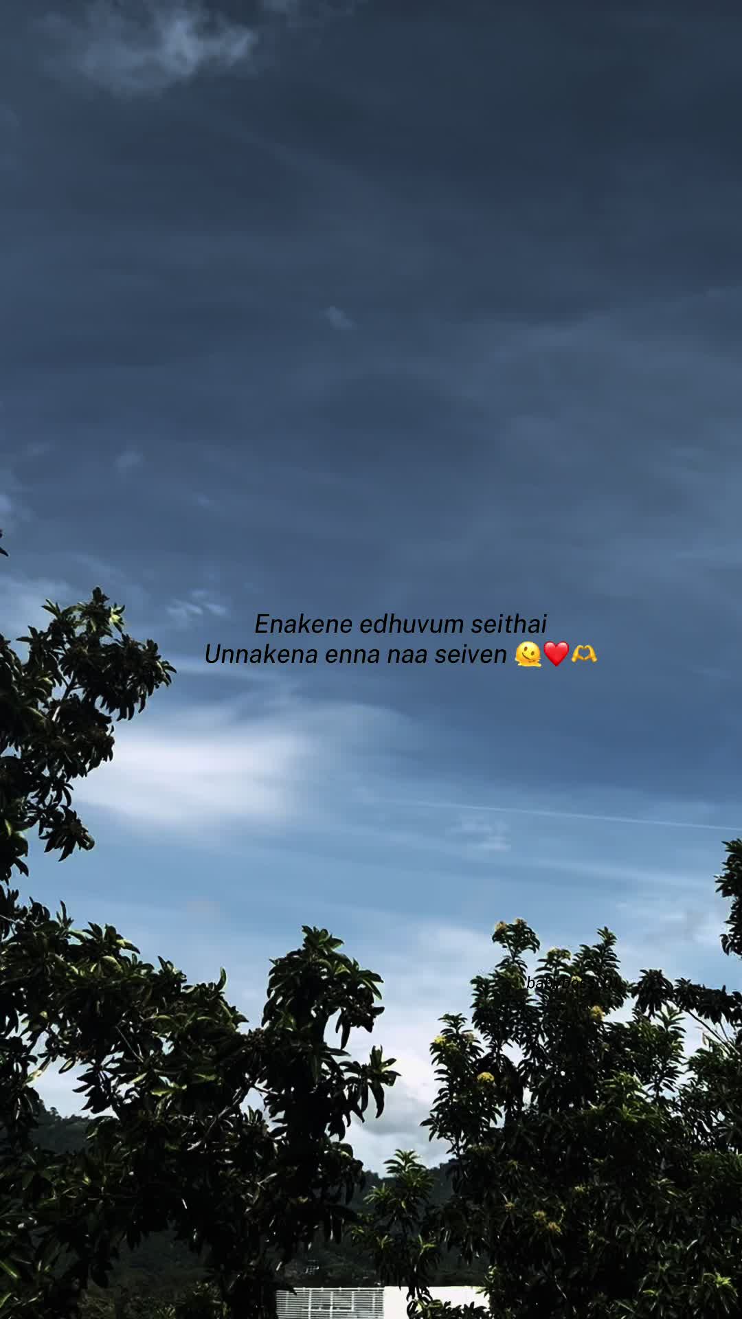 @𝓟_🦋