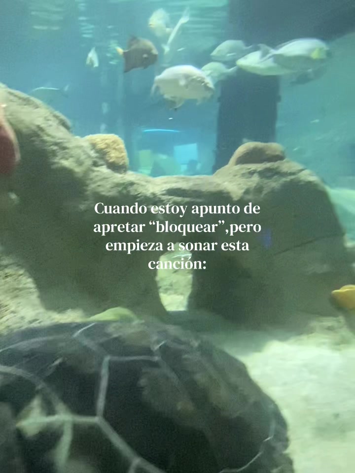 @𝑳𝒆𝒊𝒍𝒂𝒏𝒚