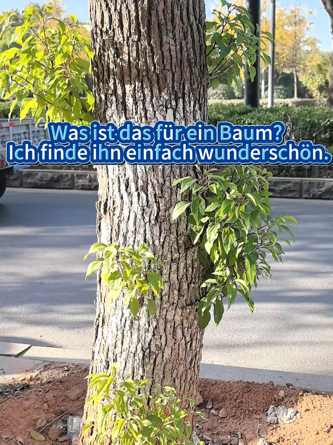 @SAEIV