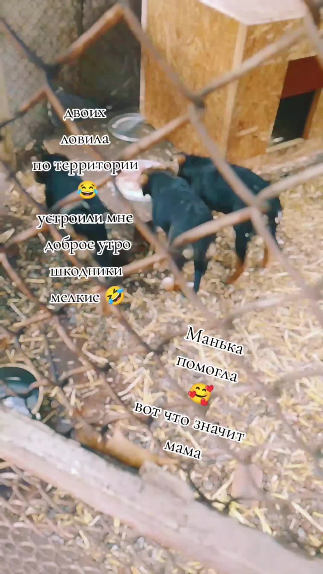 @❤️ Чародейка ❤️