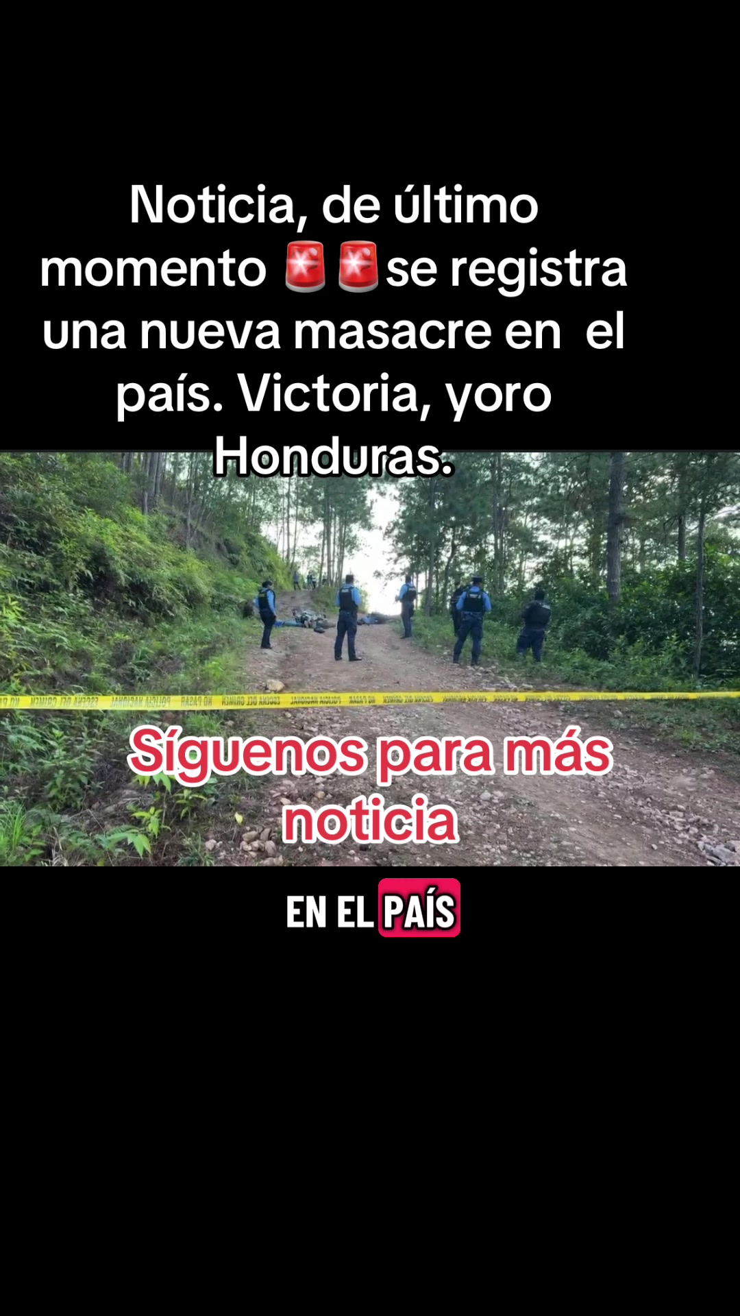 @Job Bonilla 🇭🇳🇺🇸