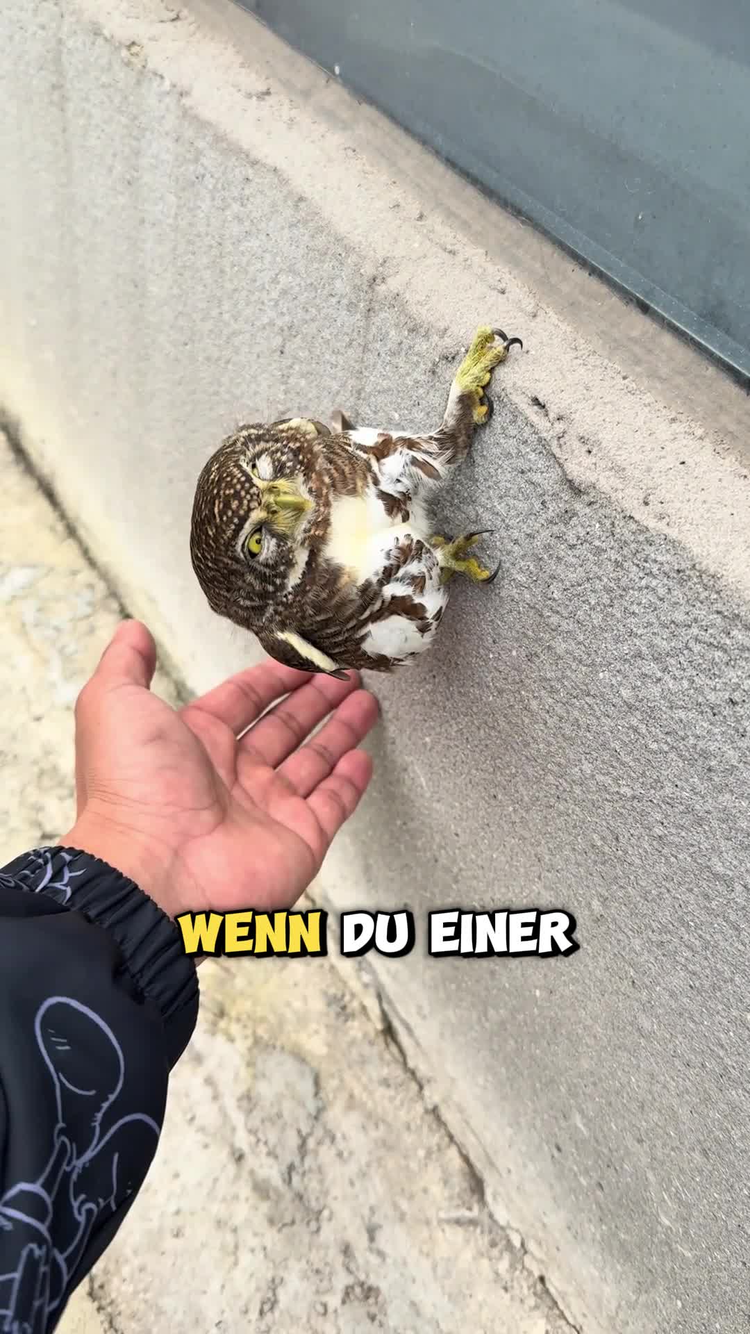@Tierheim