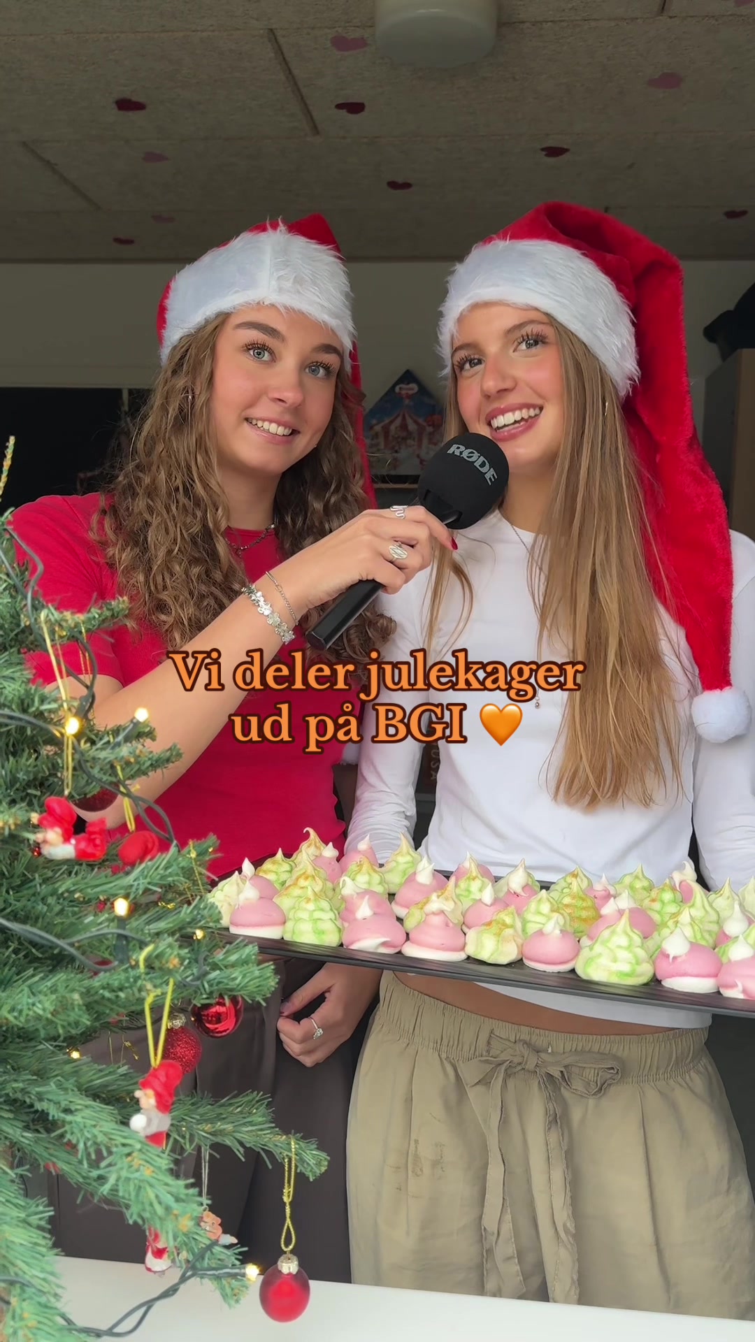 @bgiakademiet
