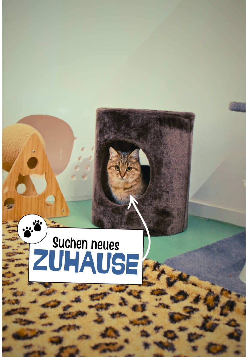 @Tierheim_Bremerhaven