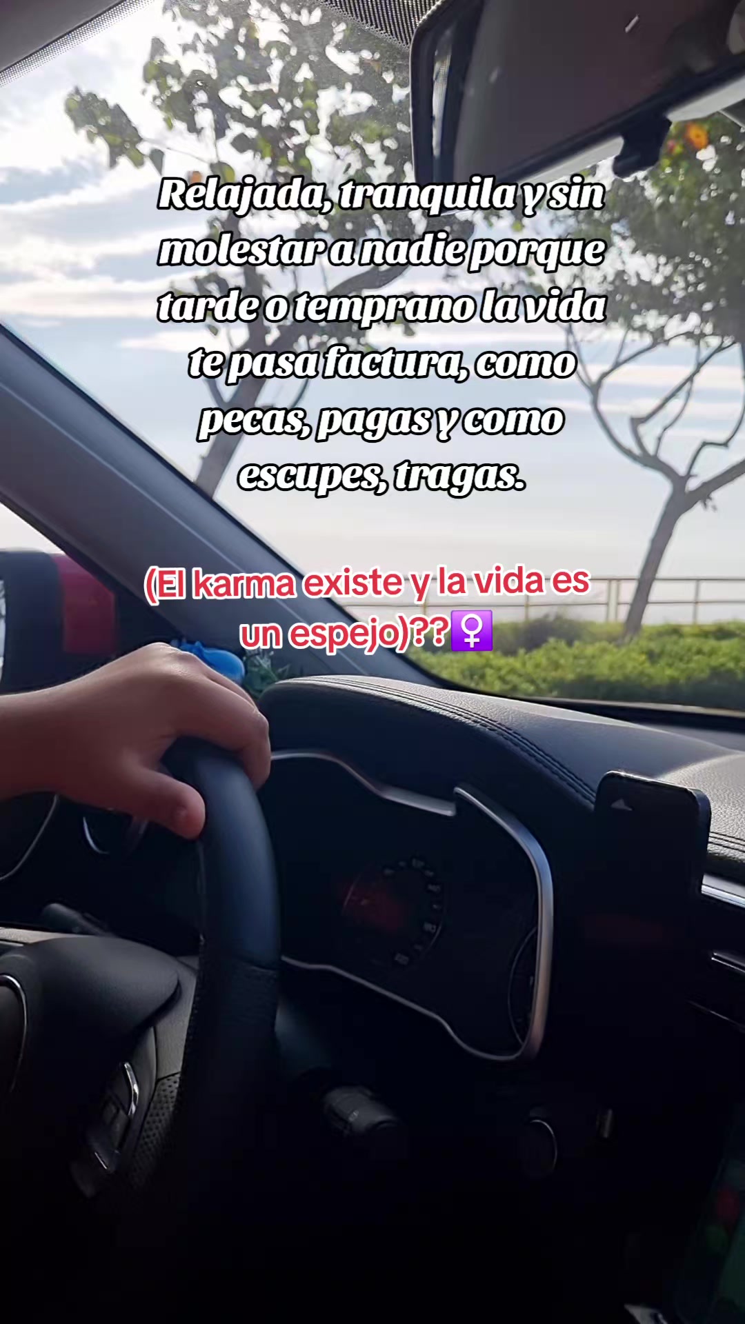 @Evelyn Vargas