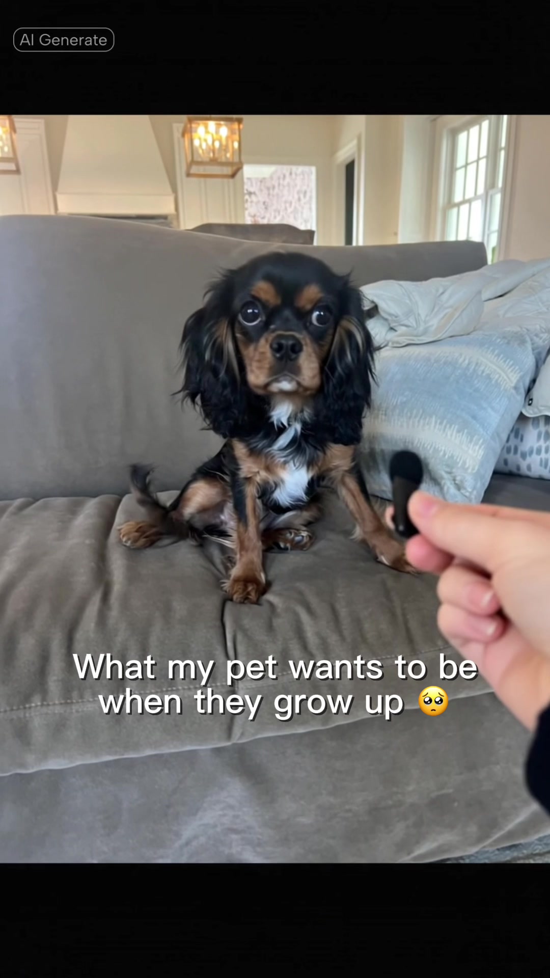 @haleyshomestuff