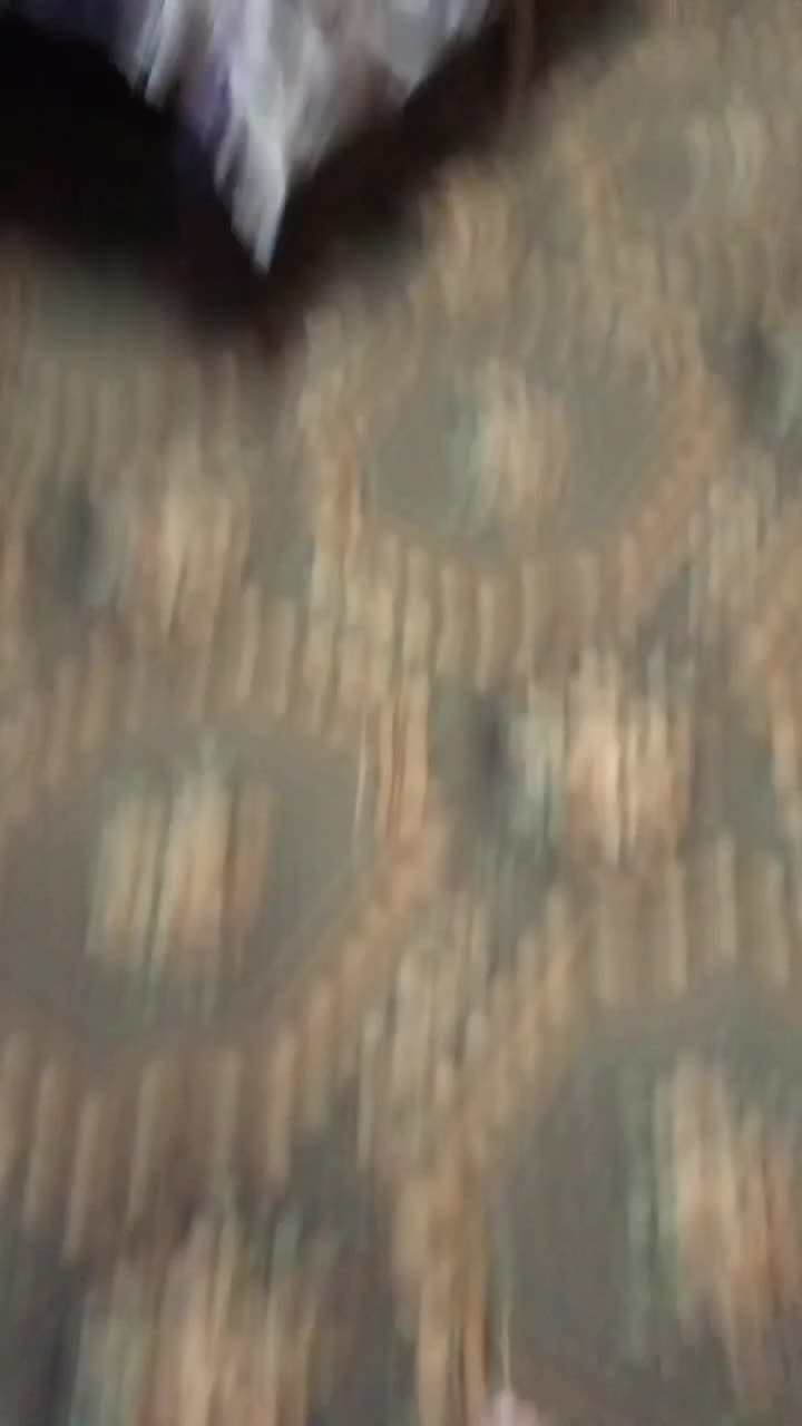 @gygc