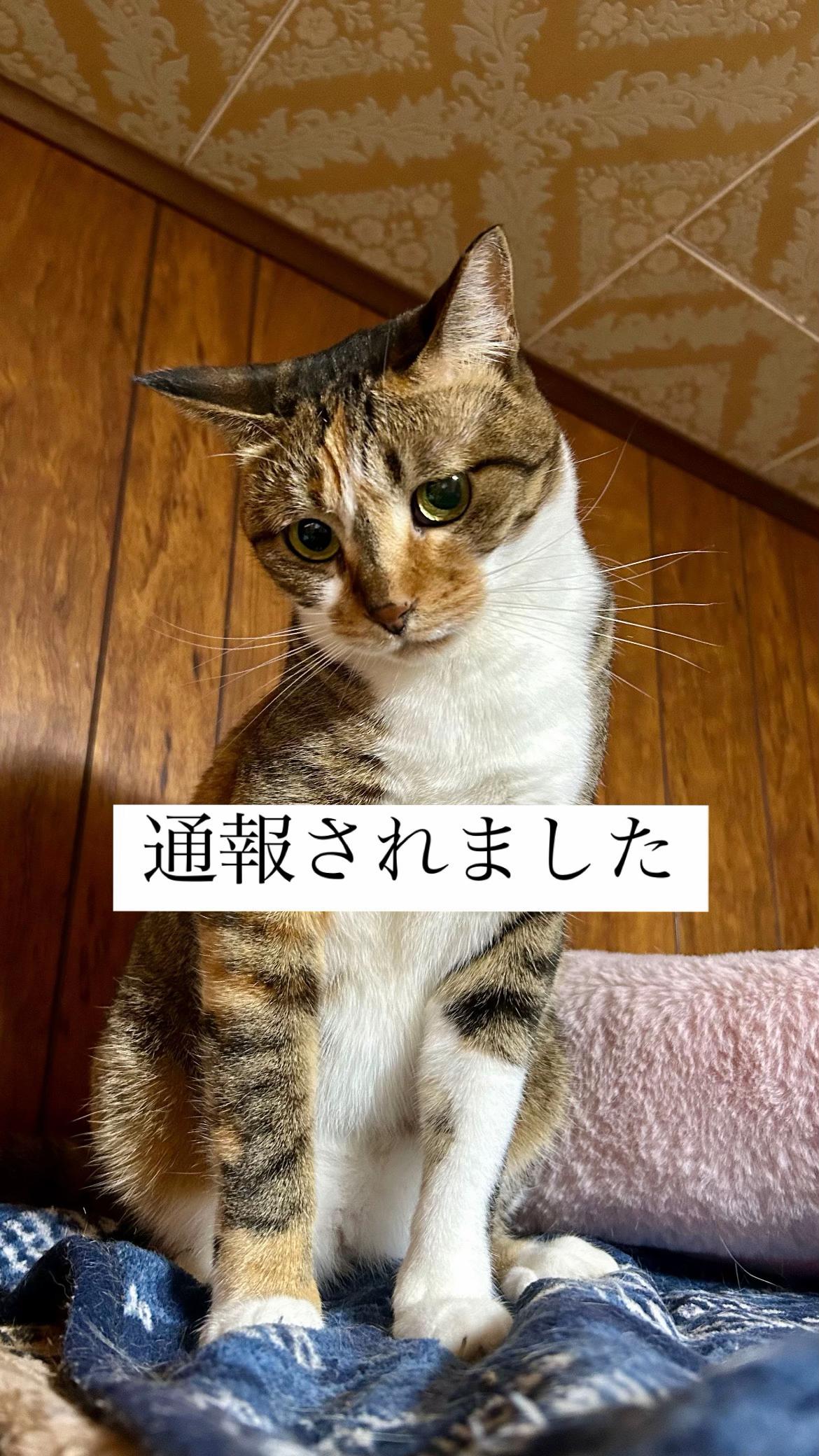 @らっくら家
