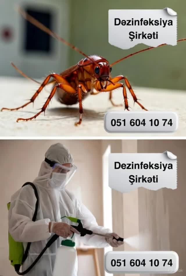 @dezinfeksiya_xidmeti