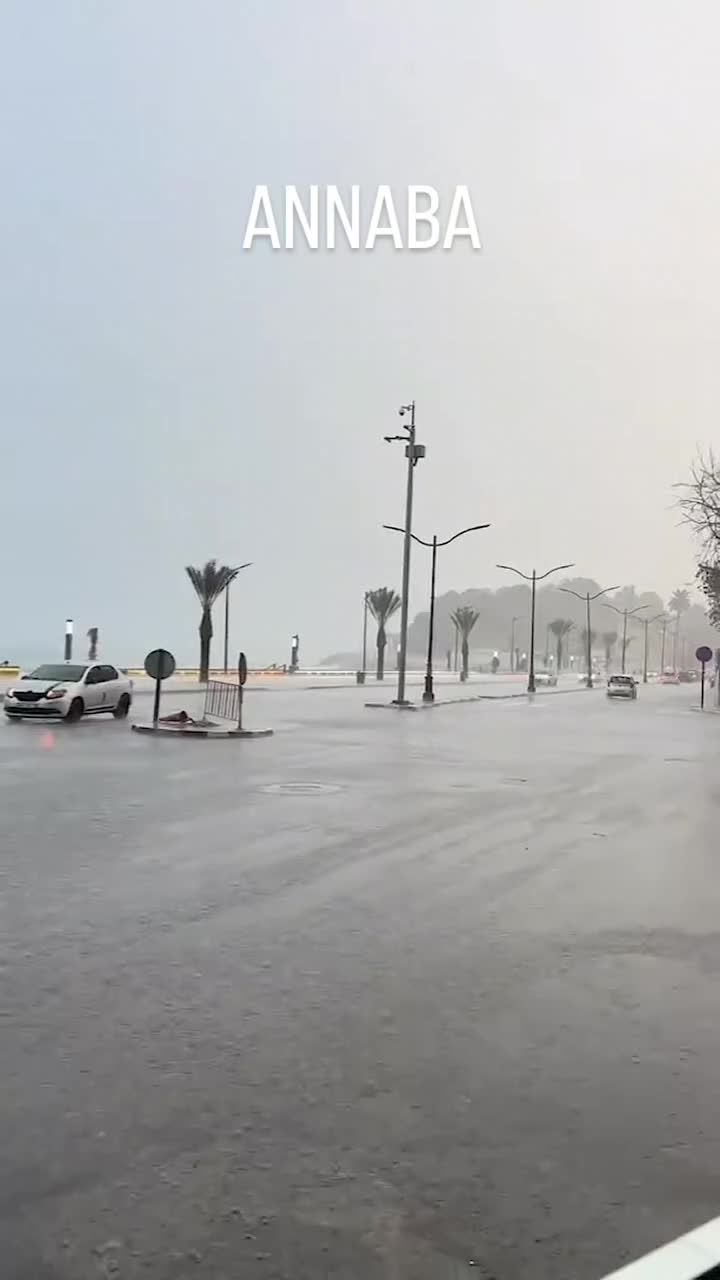 @malak ayan