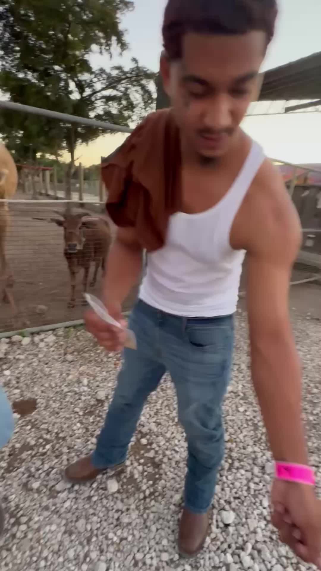 @Mealzz3