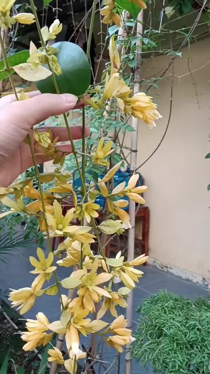 @nguoimoixaykenh