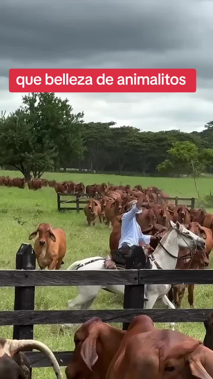 @NATURALEZARANCHO