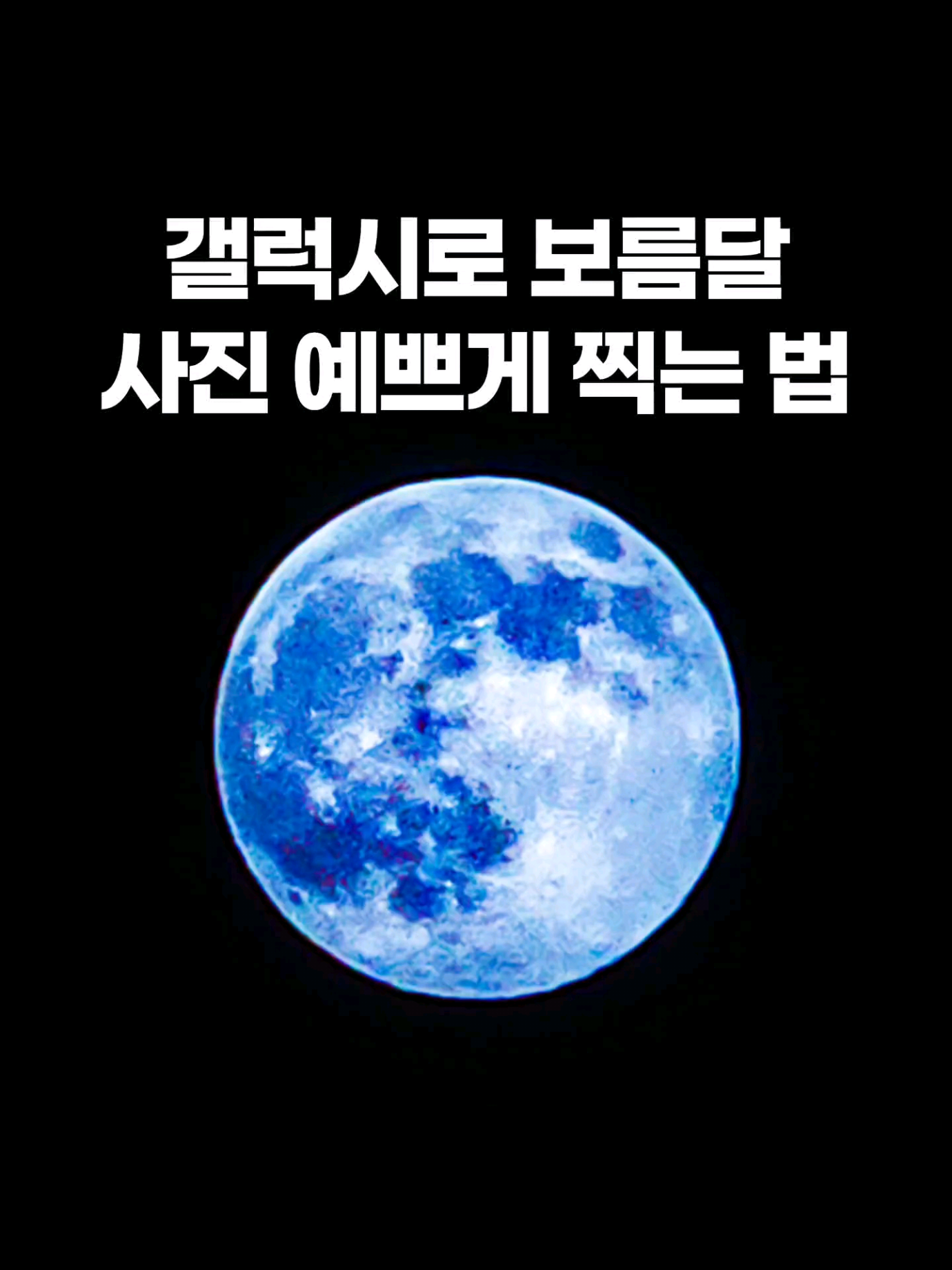 @주니웨어 주니