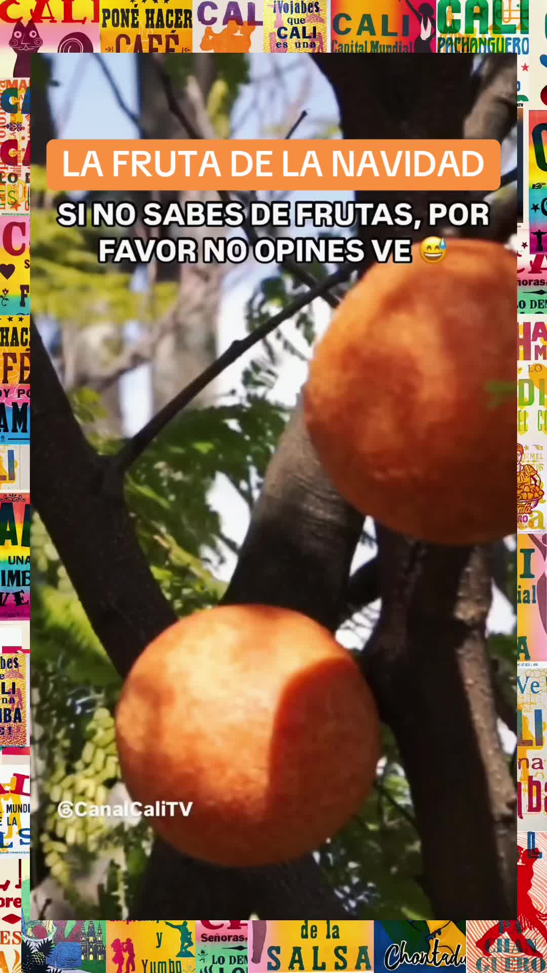 @CanalCaliTV