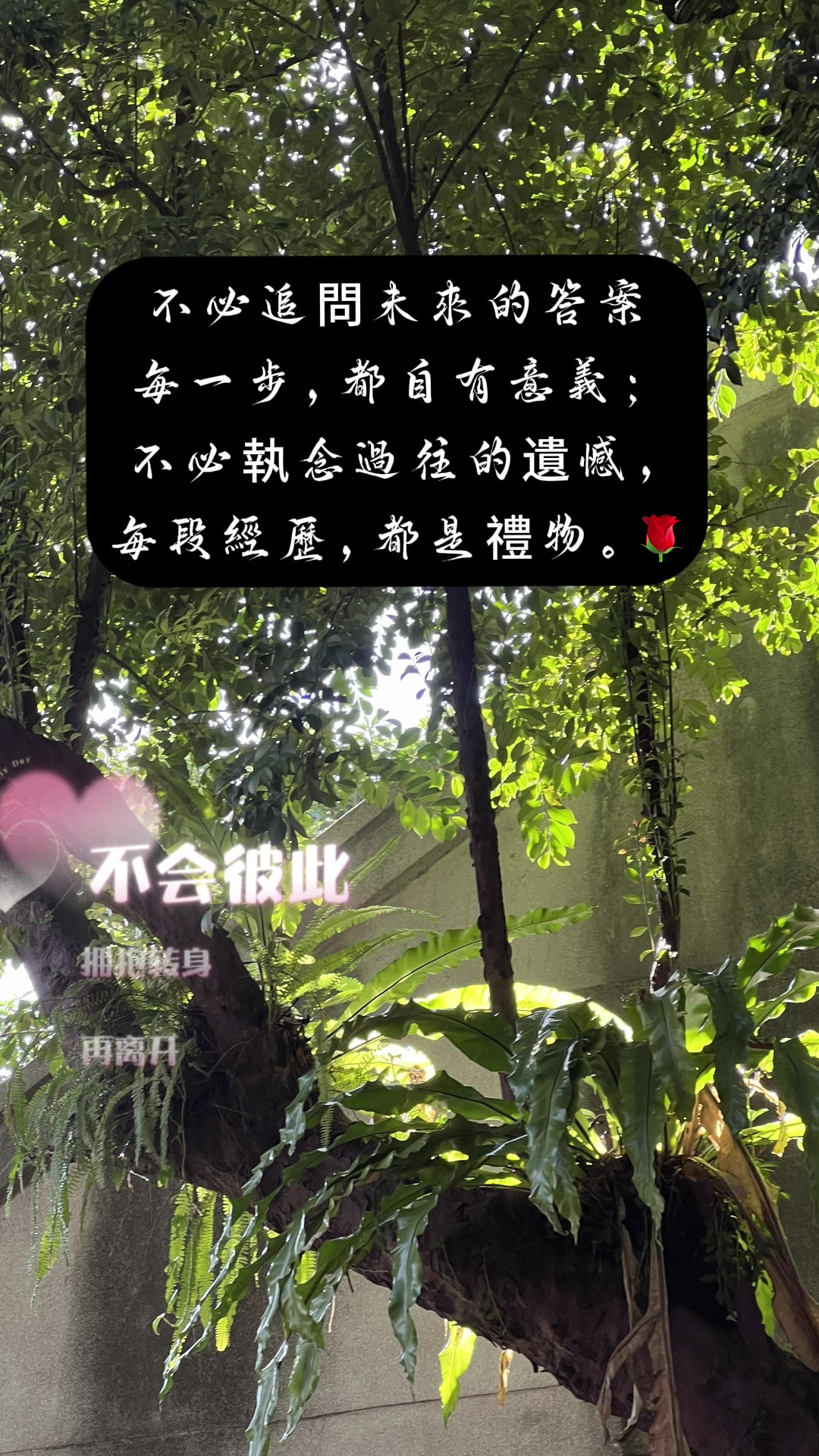@暄妹子說