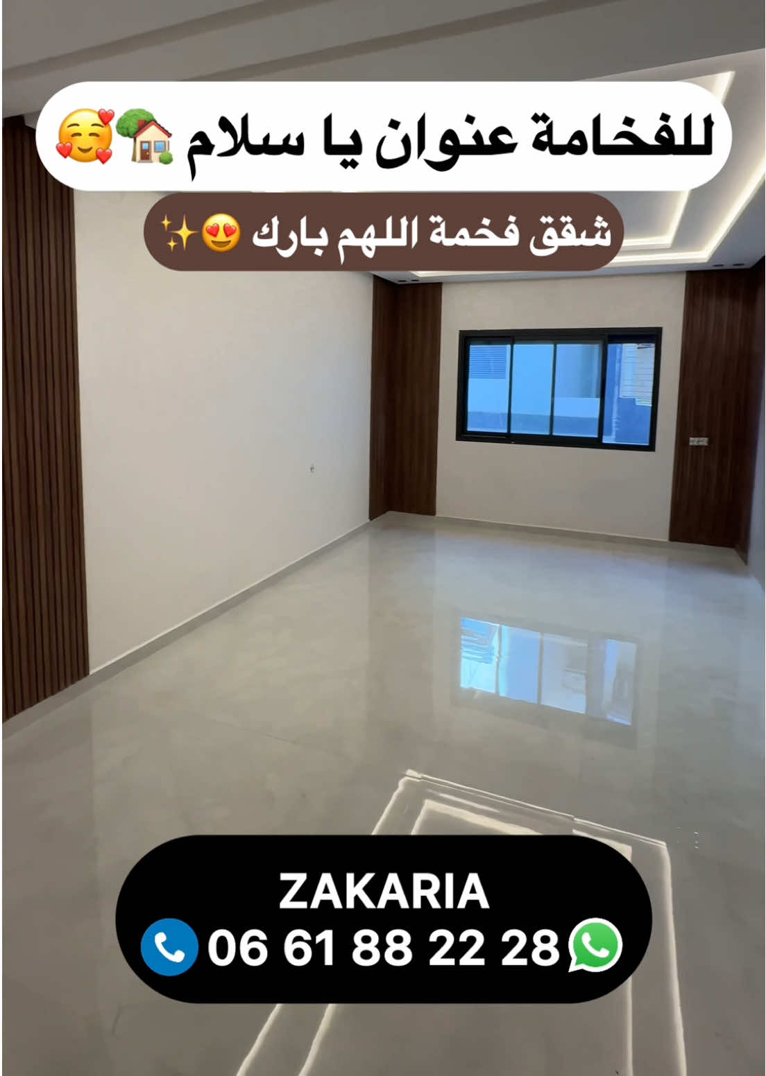 @Zakaria Haddad 🇲🇦🇵🇸
