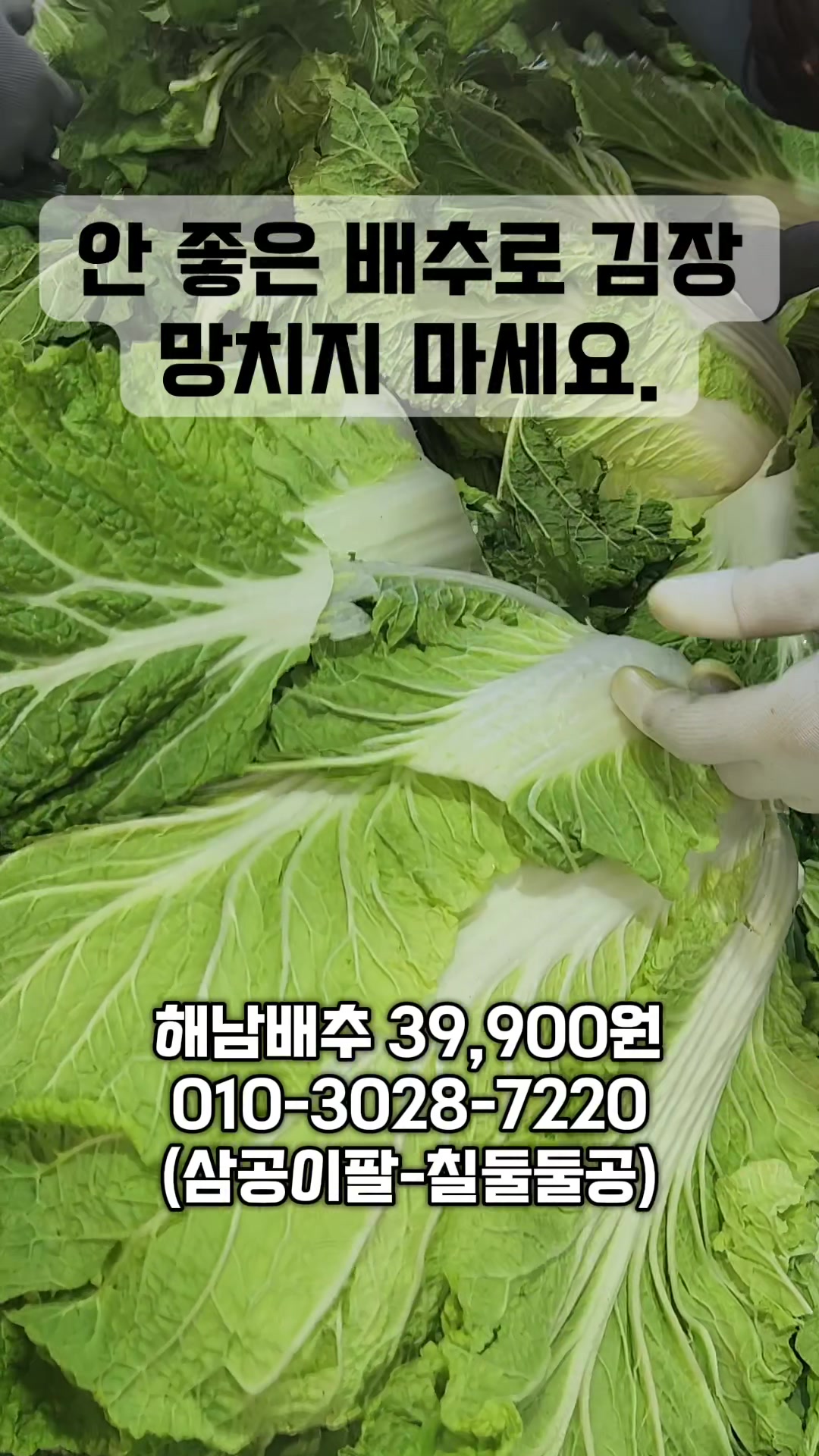 @인생먹거리