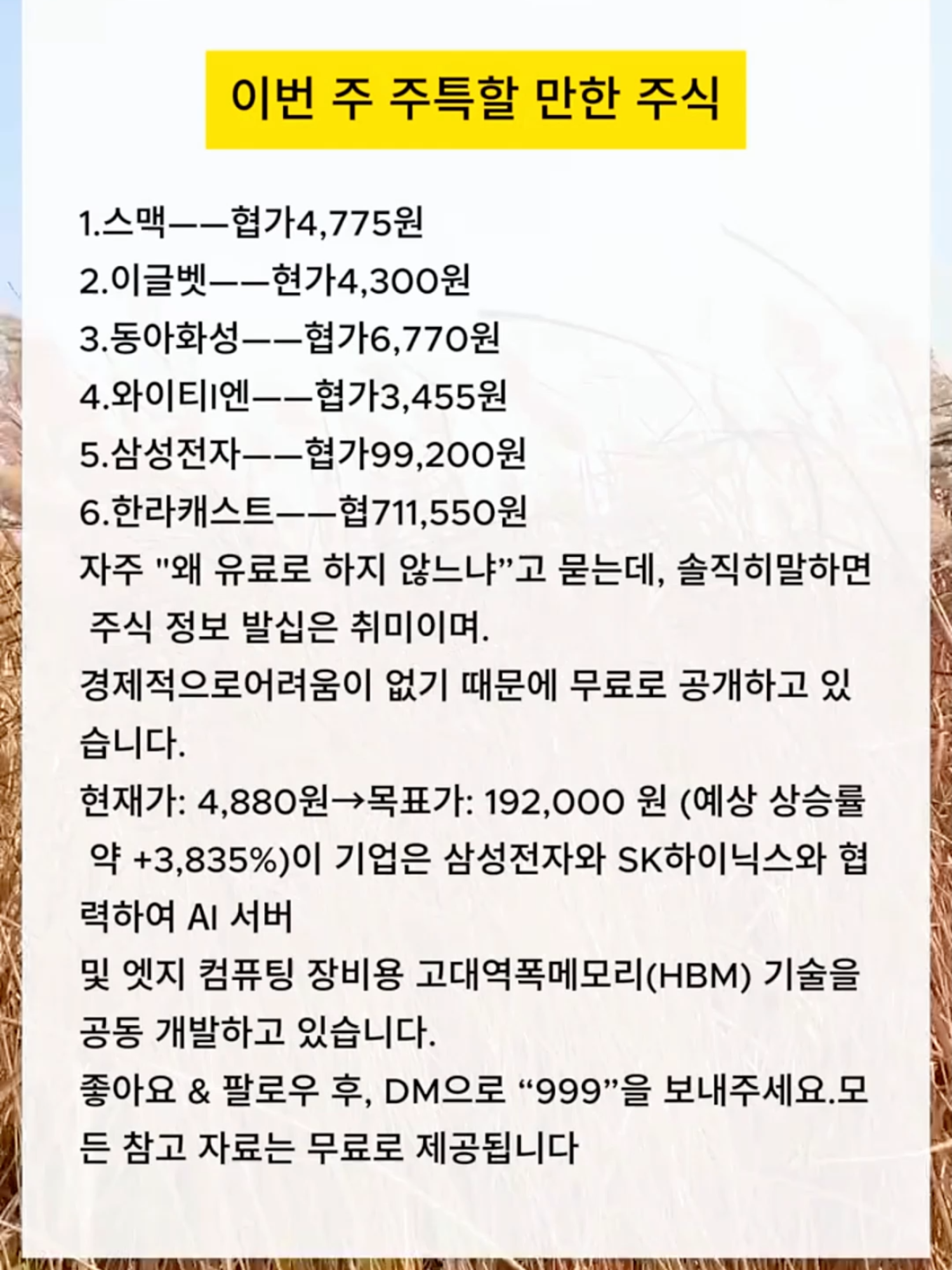 @용용빠빠
